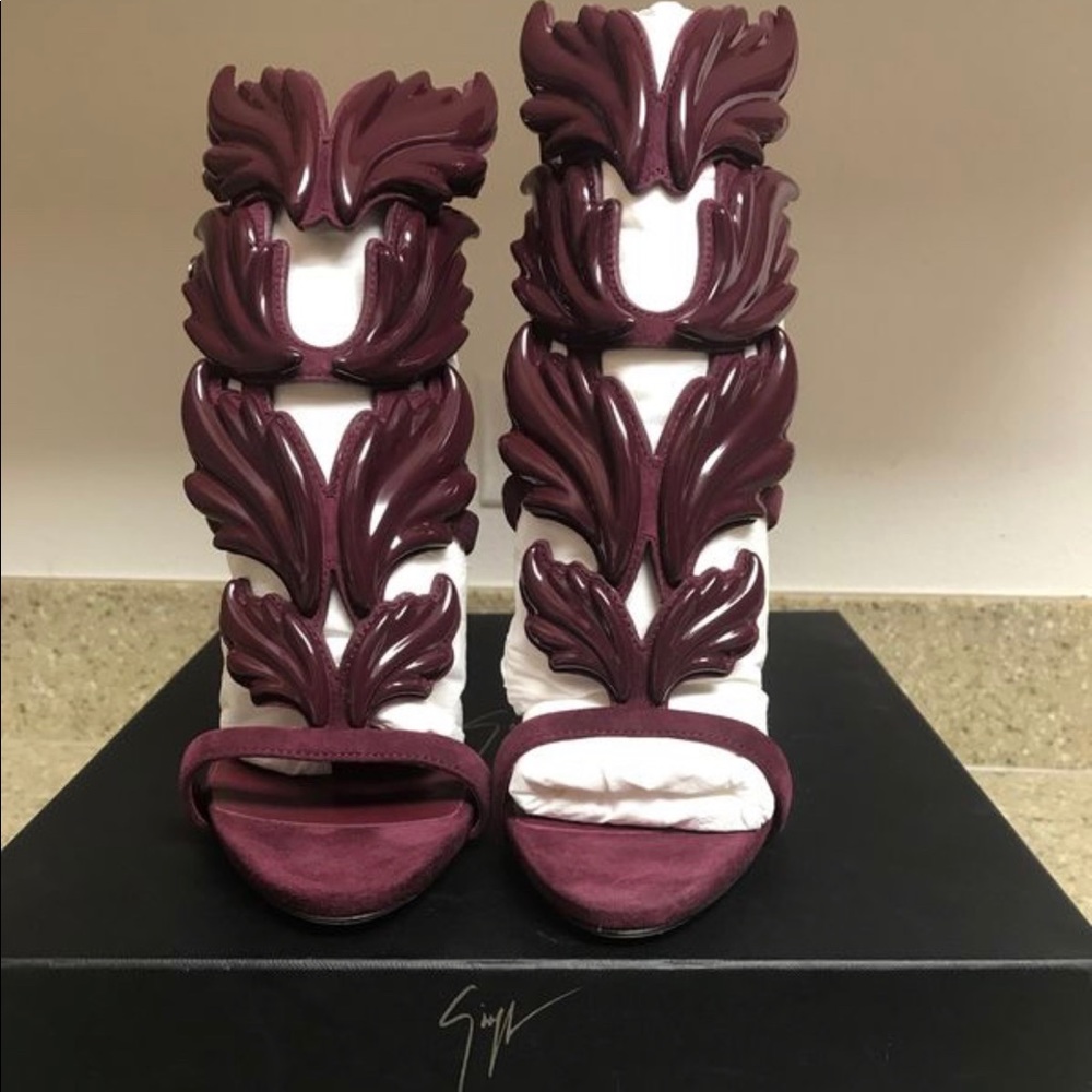 gisuppe zanotti